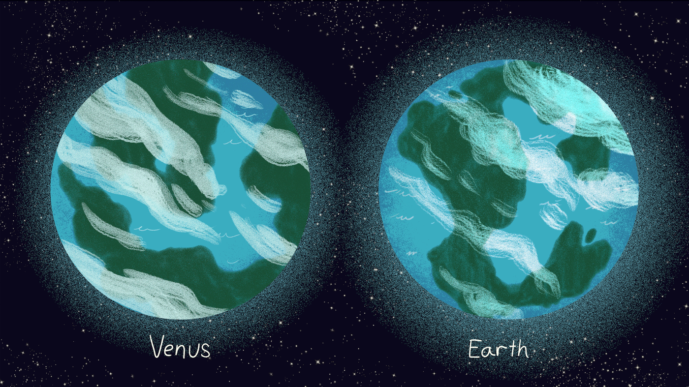 Read more about the article Venus and Earth looked like twin planets.  What happened?