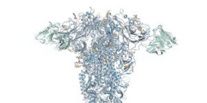 Read more about the article DeepMind adds diffusion engine to latest protein folding software