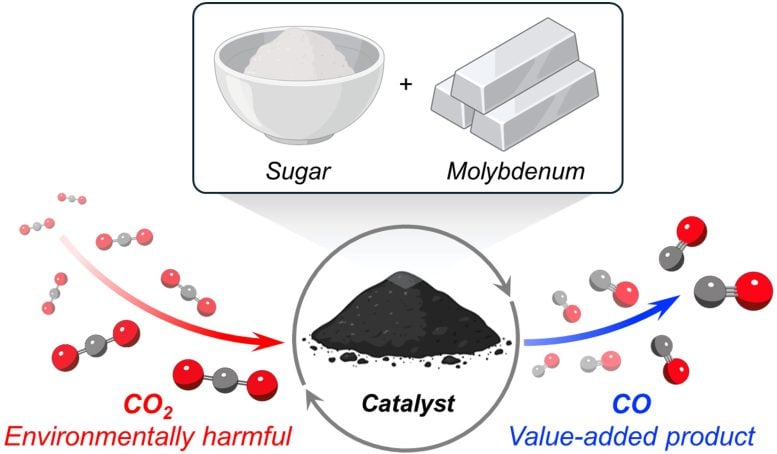 Carbon destroying sugar catalyst