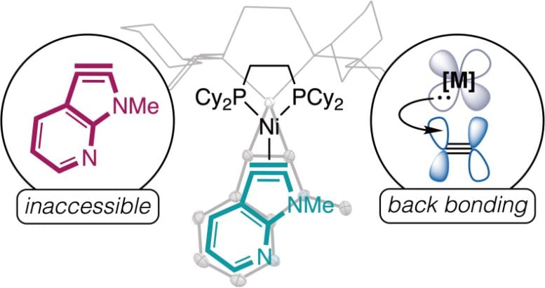 Synthetic access to N-coordinated 7 azaindolines