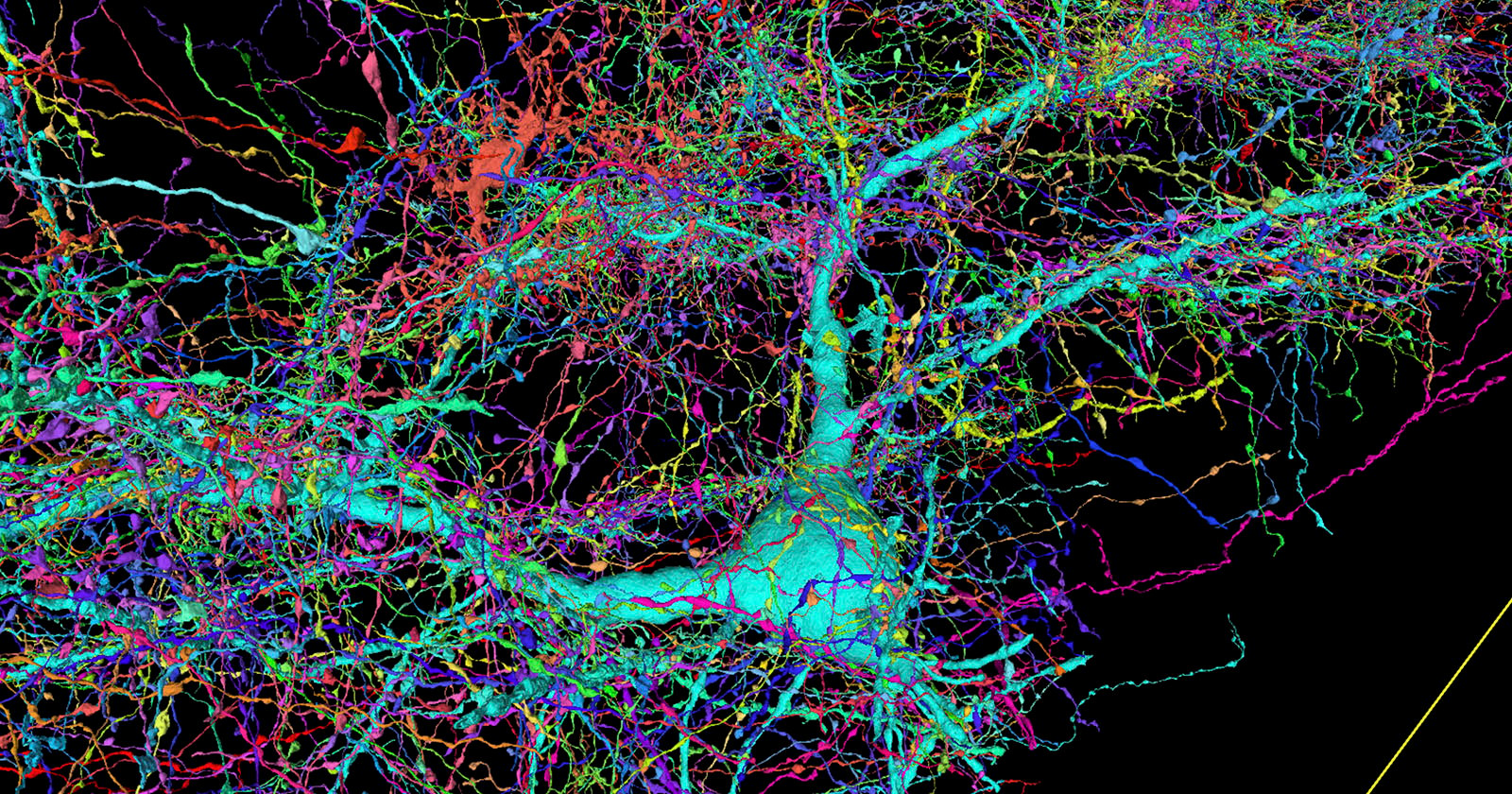 Highly detailed, colorful 3D rendering of neural networks and brain cells, featuring a complex network of interconnected lines in a varied palette on a dark background.