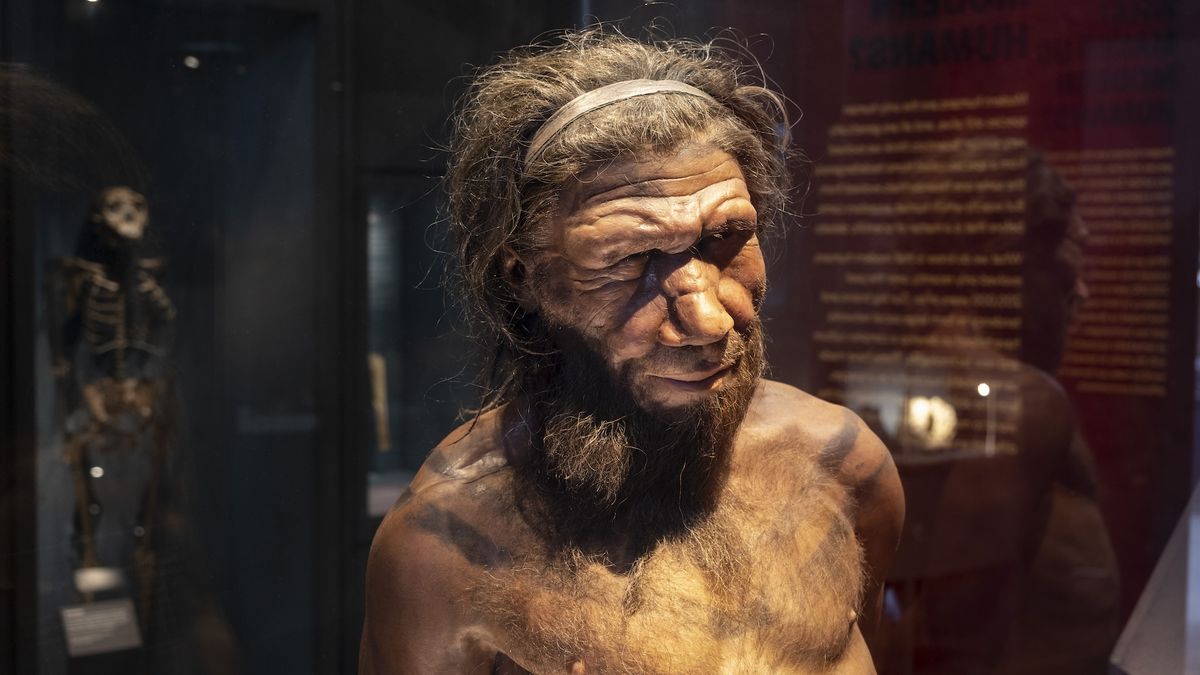 You are currently viewing The mystery of the disappearing Neanderthal Y chromosome