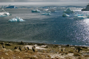 Read more about the article In two new studies, scientists see signs of fundamental changes in Antarctica’s climate – Inside Climate News