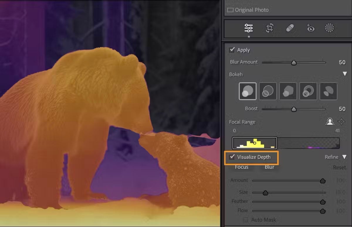 Image showing a photo editing software interface where a big bear and a smaller bear are highlighted with an orange overlay.  The right side includes a variety of editing tools and sliders, including bokeh, focus range, and blur options. "Visualize the depth" is checked.