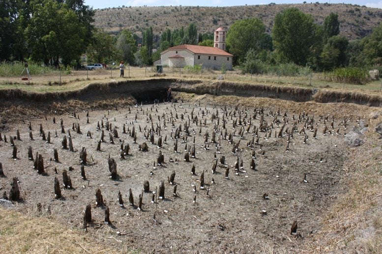 The field of sawdust at the site of Dispilio