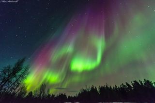 a curtain of green and red glows over a forest