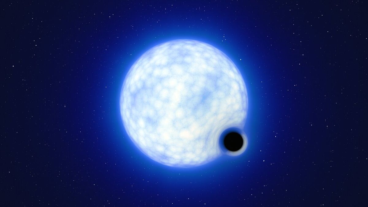 Read more about the article Do stars disappear into their own black holes?  Weird Binary Says Yes