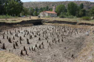 Read more about the article For the first time, researchers have been able to precisely date a 7,000-year-old prehistoric settlement using cosmic rays