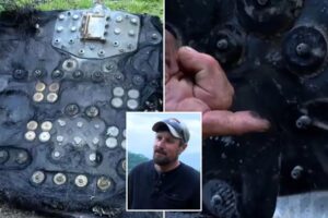 Read more about the article North Carolina Ranger Finds Mysterious Space Debris on Footpath: ‘It’s Not From Up Here’