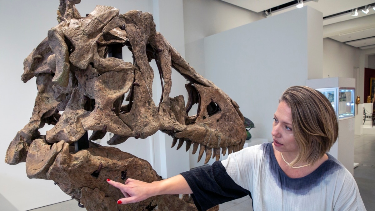 Read more about the article Scientists debate the intelligence of the T. Rex