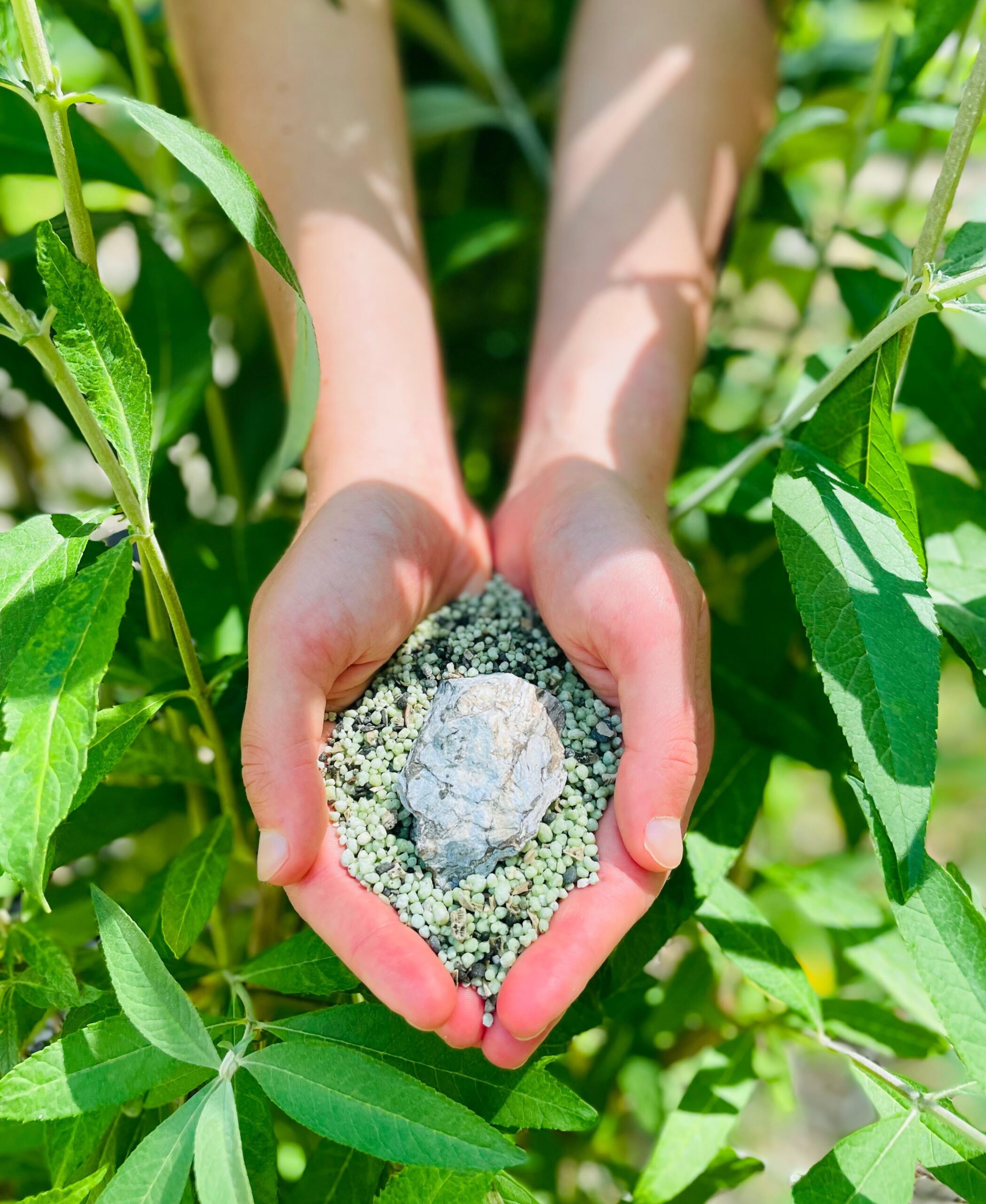 You are currently viewing Scientists develop new geochemical ‘fingerprint’ to track contaminants in fertilizer