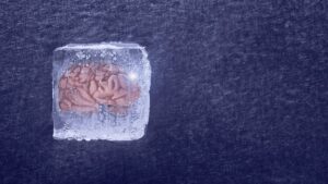 Read more about the article Scientists discover the elixir that can allow you to freeze your brain