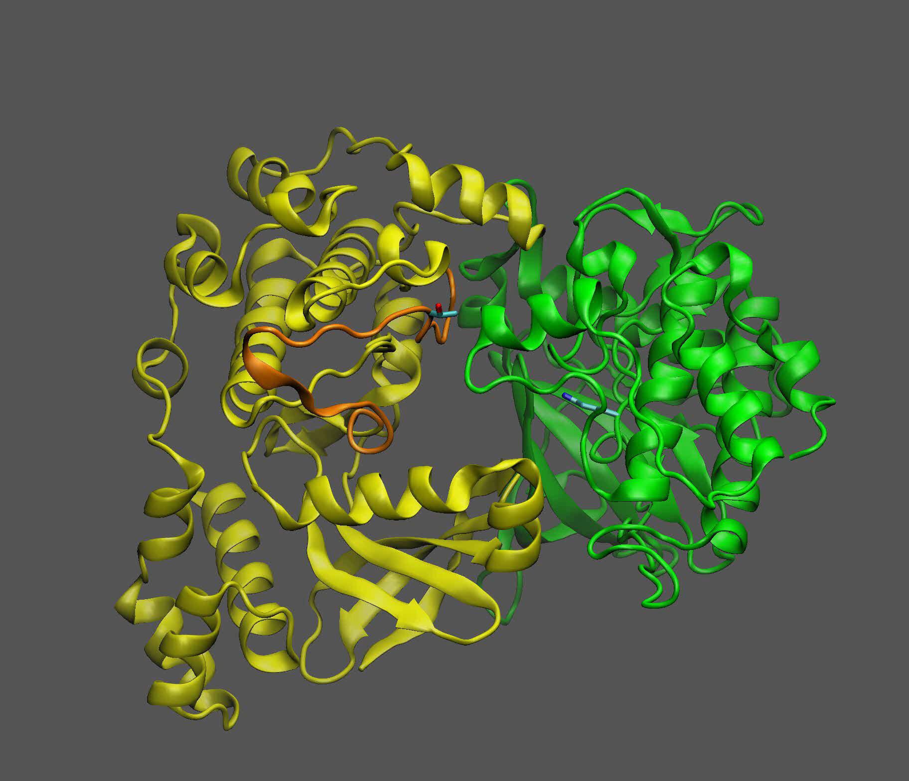 Read more about the article Study reveals how sugar-sensing protein acts as ‘machine’ to turn plant growth and oil production on and off