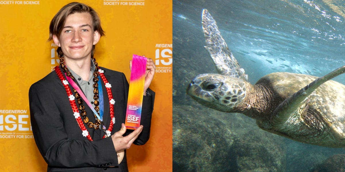 You are currently viewing Teen wins $10,000 to research mysterious sea turtle tumors