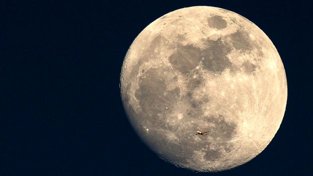 You are currently viewing What will we eat on the moon?  The food is literally out of this world