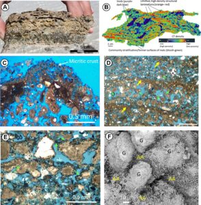 Read more about the article New traces of the first life on Earth have been discovered in Saudi Arabia