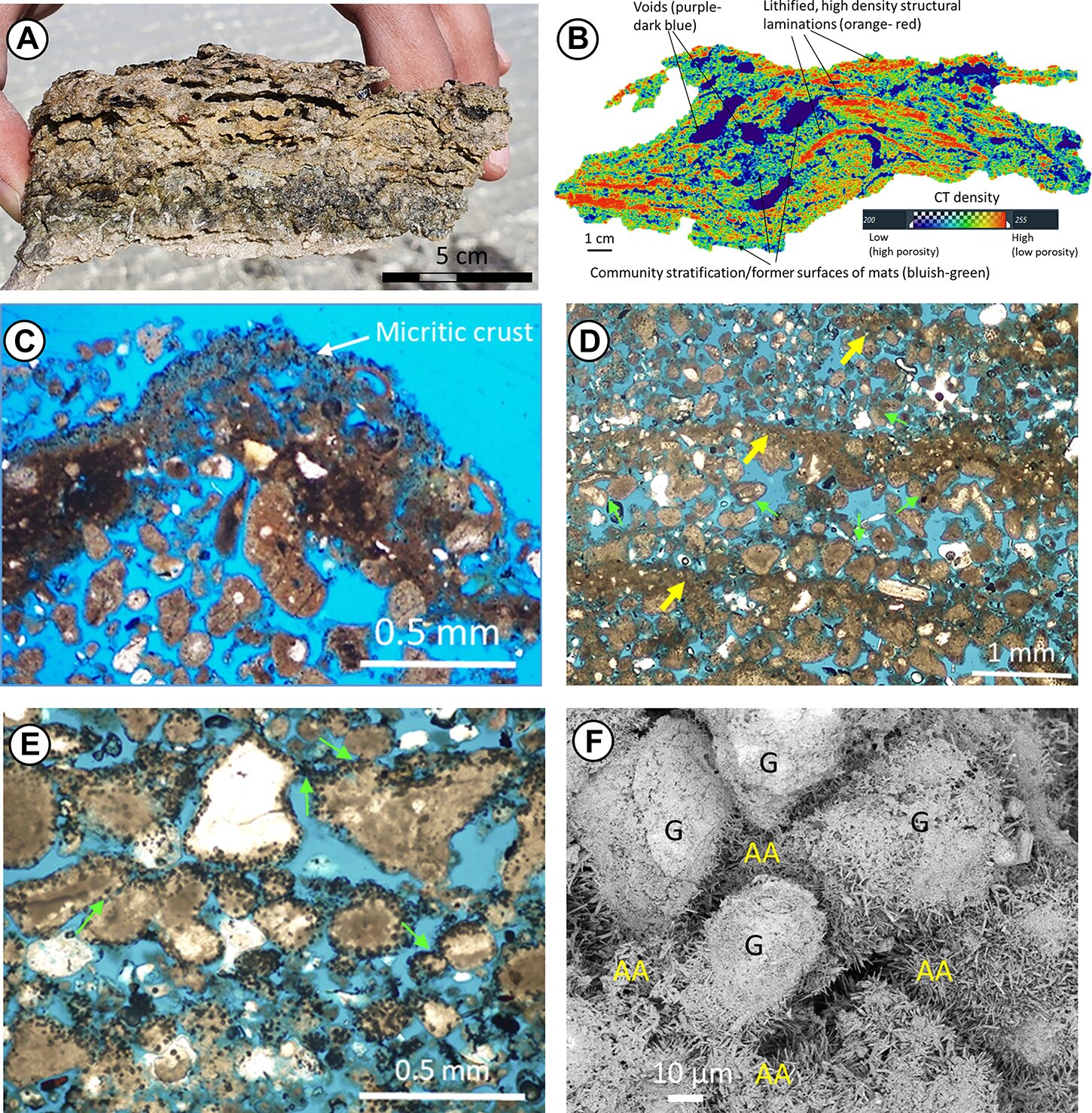 Read more about the article New traces of the first life on Earth have been discovered in Saudi Arabia