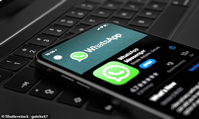 WhatsApp is one of the most popular encryption apps that provides end-to-end encryption that keeps phone calls, messages and other data private from anyone, including the app itself