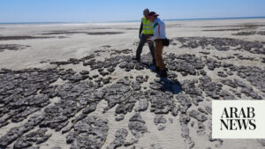 Read more about the article “Living Rocks” off Saudi Arabia’s Shaybara Island provide insight into how life on Earth began