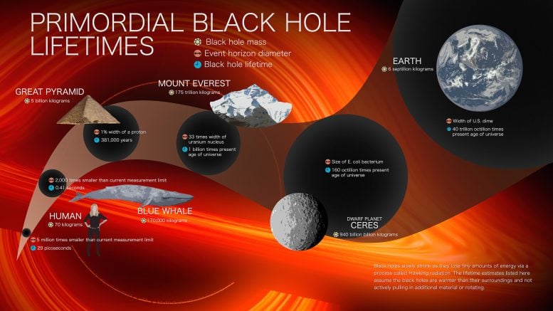 Infographic about the life of a primordial black hole