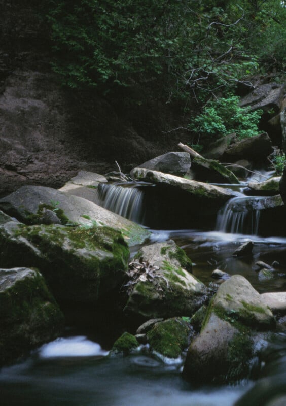 A calm forest stream flows gently over moss-covered rocks, creating small waterfalls.  The surrounding vegetation is lush and green, adding to the peaceful and natural atmosphere of the scene.