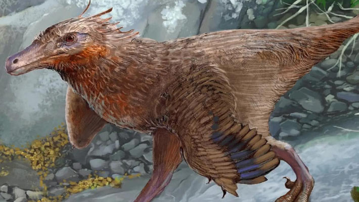 You are currently viewing Paleontologists have discovered a new bird-like dinosaur in Argentina  Sci.News