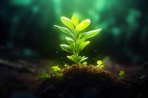 Read more about the article Are plants smarter than we think?  Cornell scientists discover a form of intelligence in goldenrod plants