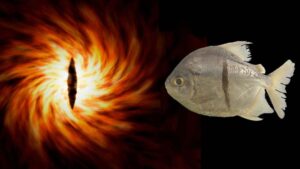 Read more about the article New piranha-like fish with ‘human teeth’ and Eye of Sauron markings discovered deep in the Amazon