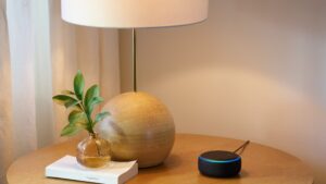 Read more about the article Amazon can charge up to $10/month for Alexa