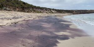 Read more about the article Australia’s mysterious pink sands reveal hidden structures thousands of kilometers away