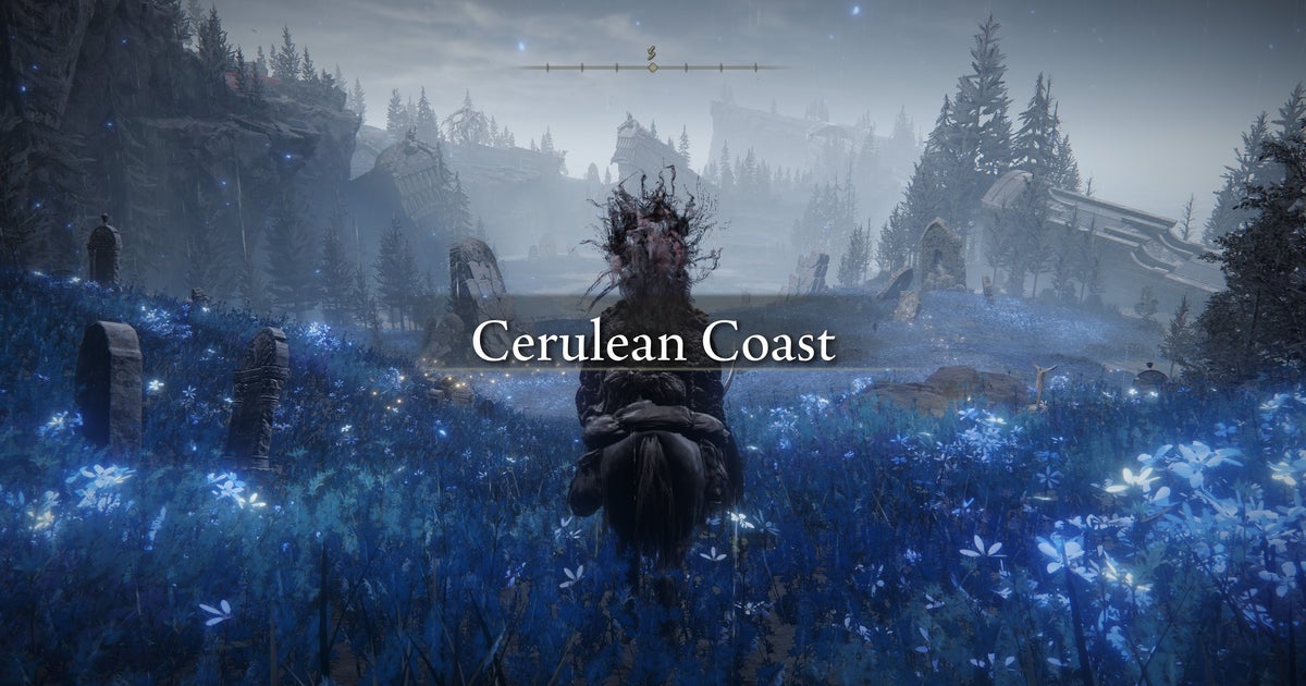 Read more about the article How to get to Cerulean Coast in Elden Ring Shadow of the Erdtree