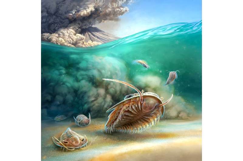 Prehistoric Pompeii discovered: Pristine trilobite fossils ever found shake up scientific understanding of long-extinct group