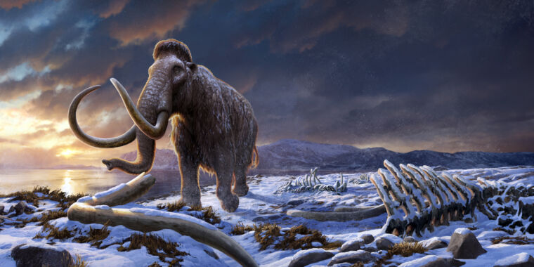 You are currently viewing DNA from mammoth remains reveals history of last surviving population