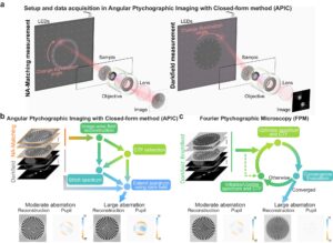 Read more about the article A new computer microscopy technique provides a more direct route to clear images