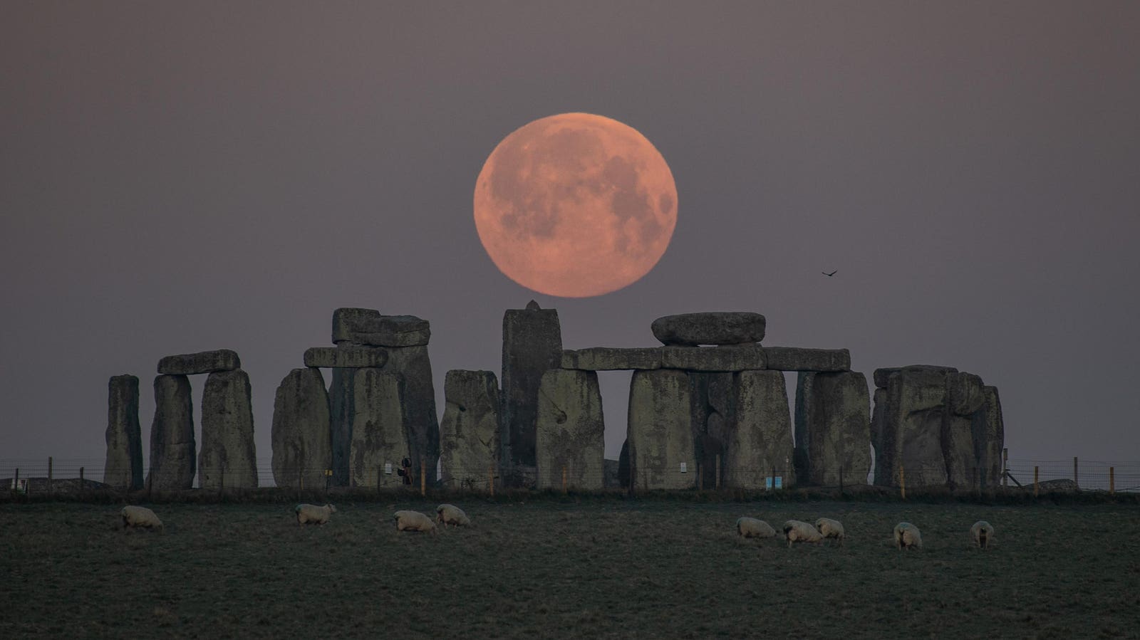 Read more about the article A major lunar stasis could shed light on Stonehenge’s lunar connection – Here’s how to watch