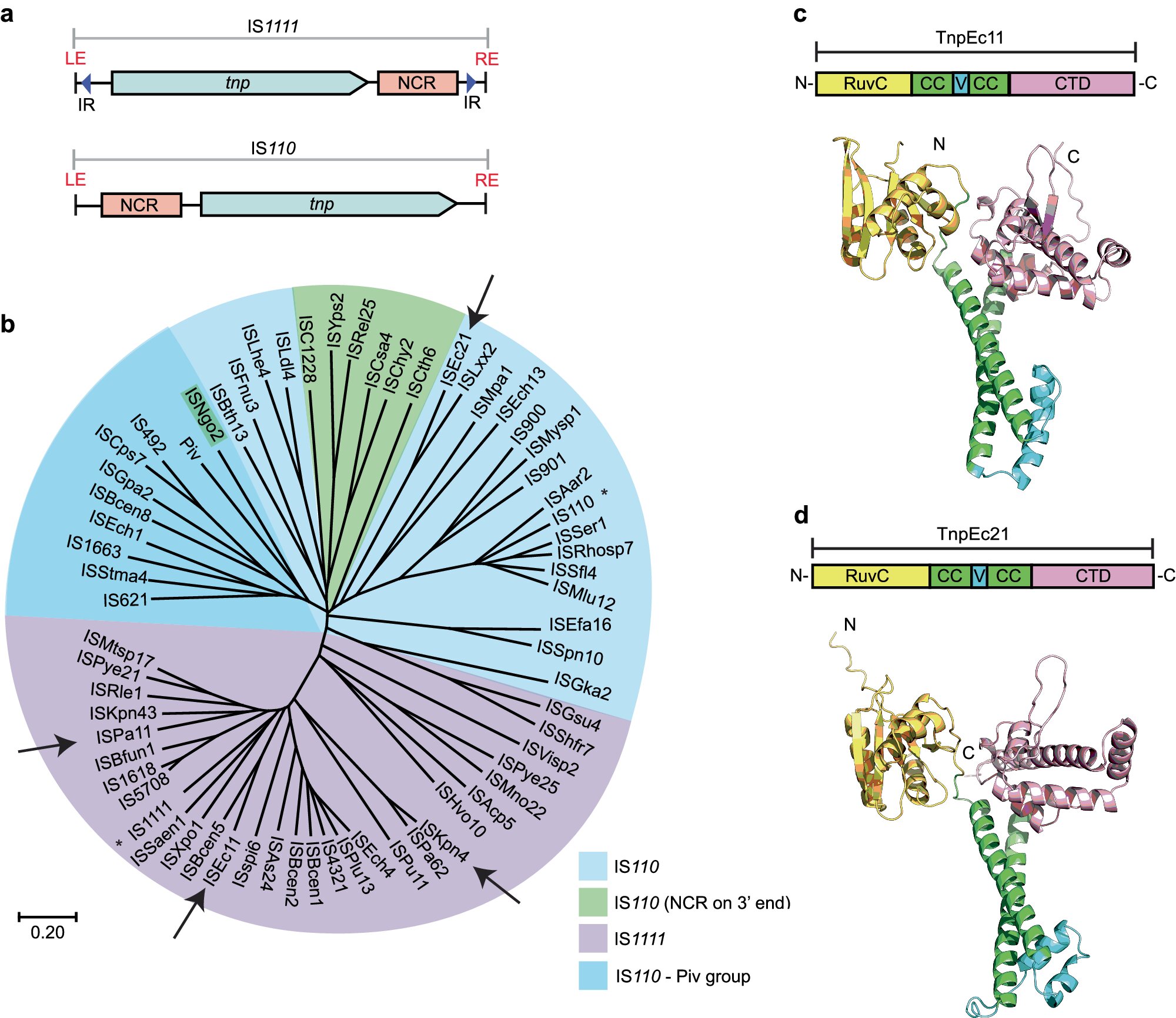 Read more about the article Beyond CRISPR: seekRNA provides a new route to precise gene editing