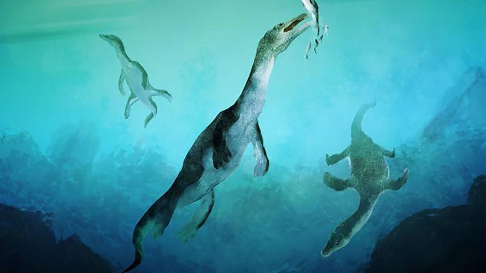 You are currently viewing Fossils of ancient reptiles shed new light on early marine evolution