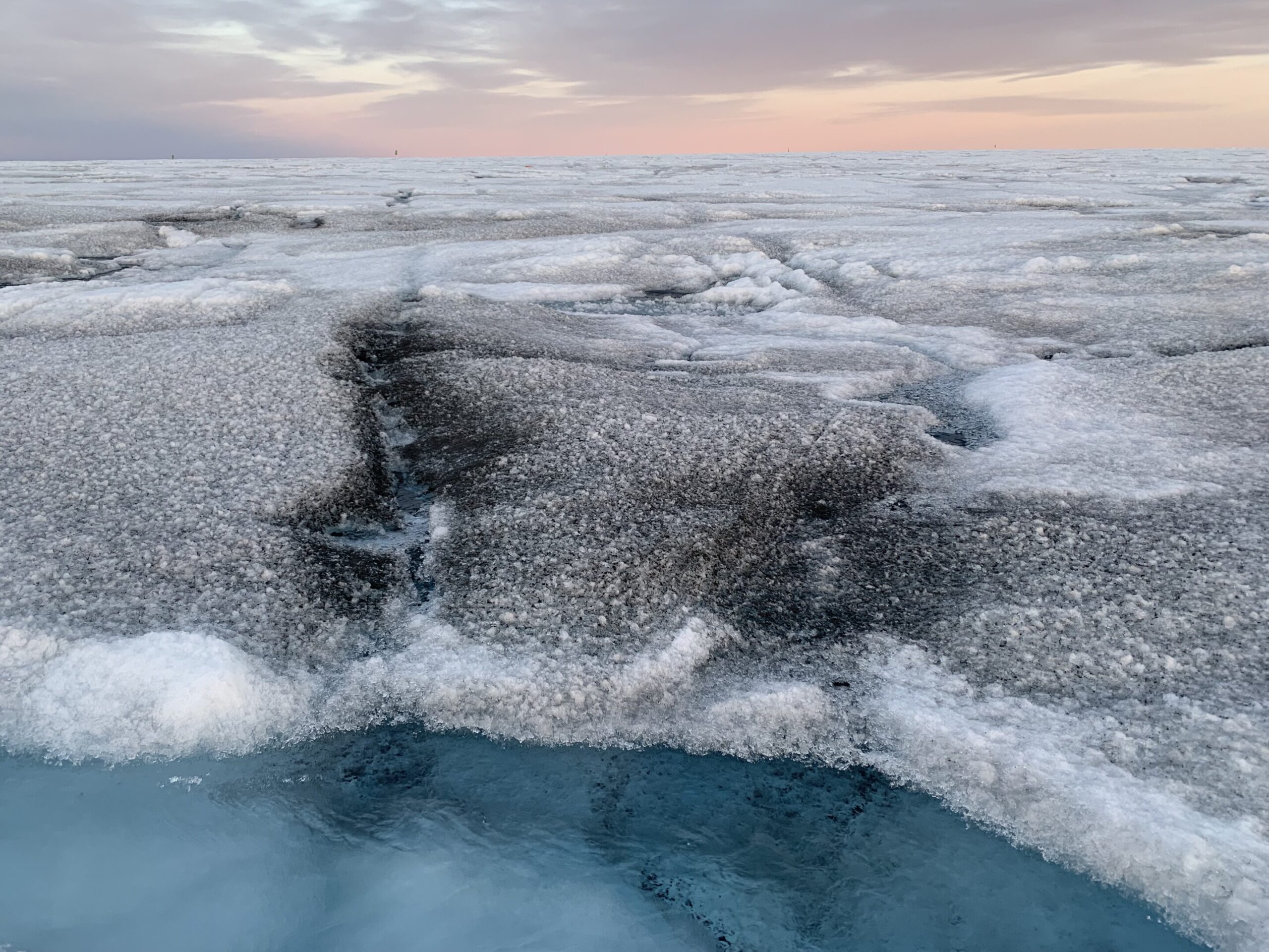 Read more about the article Giant viruses found in Greenland ice sheet may slow ice melt