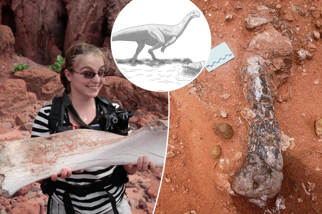 Read more about the article Long Island professor discovers new dinosaur in Zimbabwe: ‘Big career moment’