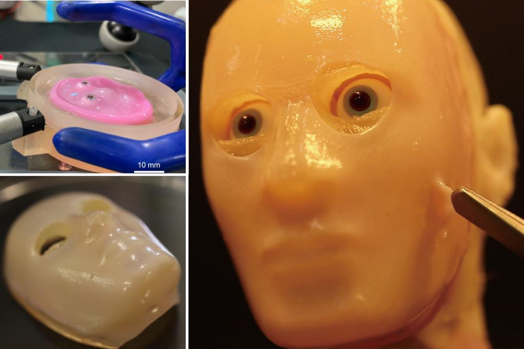 Read more about the article Robot face with lab-grown living skin created by scientists hoping to create more human-like cyborgs