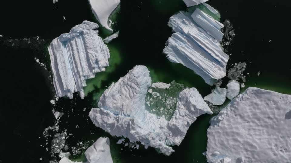 Icebergs in Antarctica on February 8, 2024. Numerous studies have examined the vulnerability of this vast continent to the impacts of the climate crisis.  - Sebnem Coskun/Anadolu/Getty Images