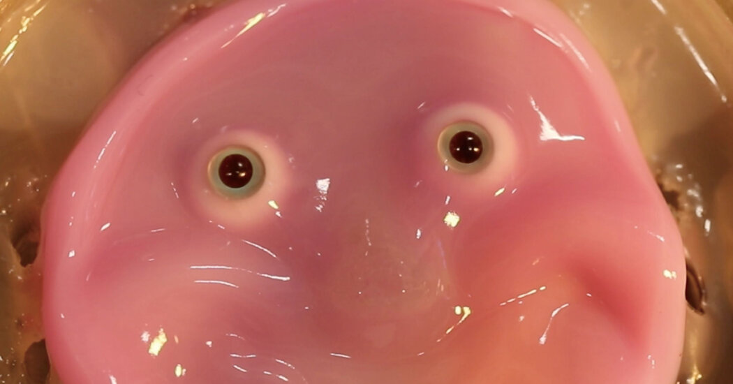 Read more about the article Scientists in Japan give robots fleshy faces and a smile