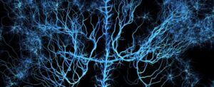 Read more about the article The complexity of the human brain is on the verge of chaos, physicists say