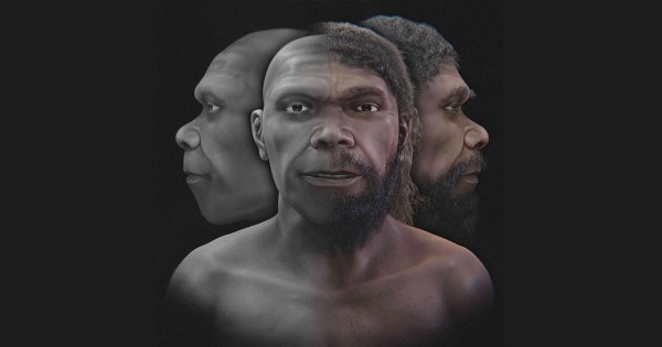 Read more about the article The face of the oldest human being was revealed after 300,000 years