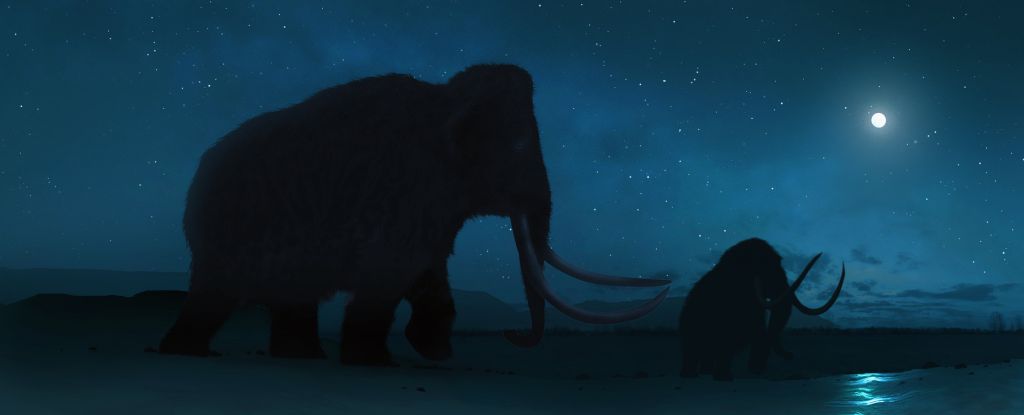 Read more about the article The space shrapnel that killed the mammoth was buried deep, scientists say