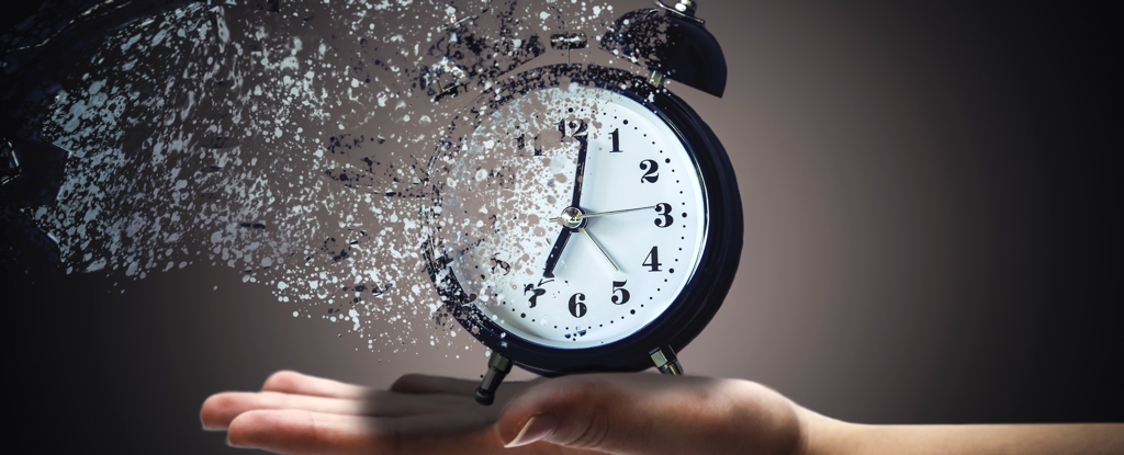 Read more about the article “Time cells” in the brain may be more important than we thought