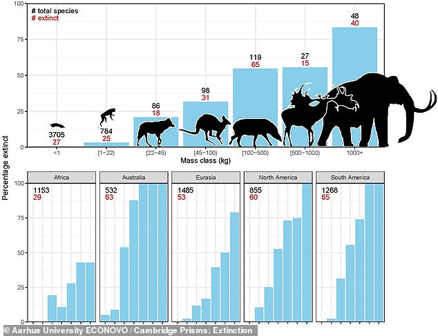 The researchers note that 40 of the 48 known large mammals during this period (top right of the chart) went extinct, while only smaller and smaller percentages of each lower 