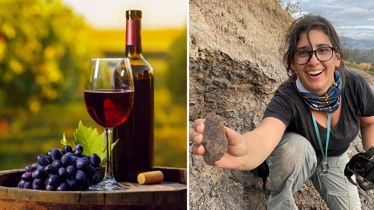 Wine and fossil scientists