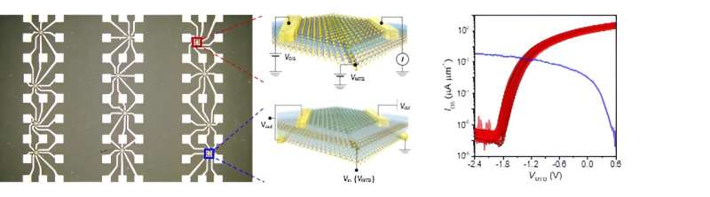 Scientists find a way to "grow up" sub-nanometer sized transistors