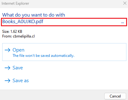 Figure 5: a closer look at the IE dialog - showing only the PDF file name